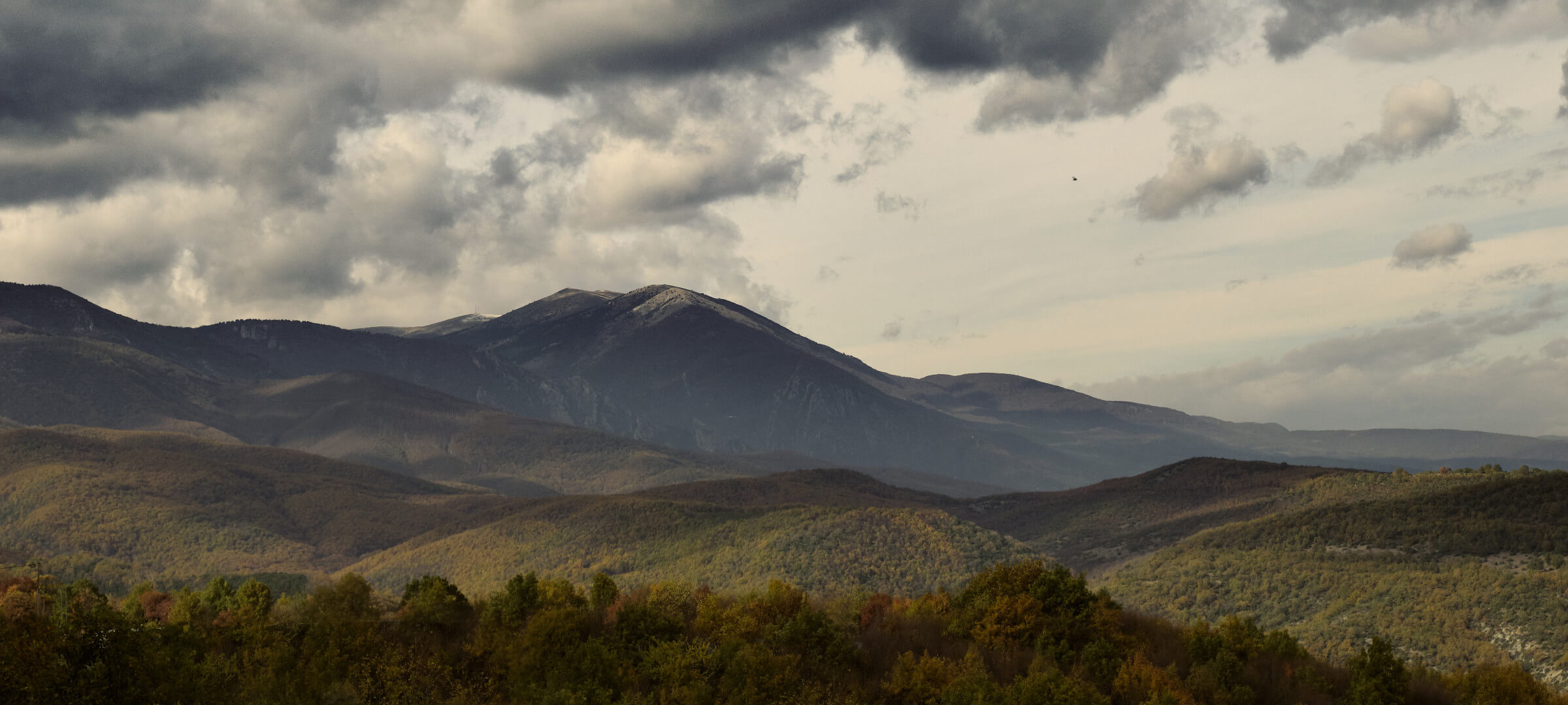 Vineyards | Thymiopoulos | Greece