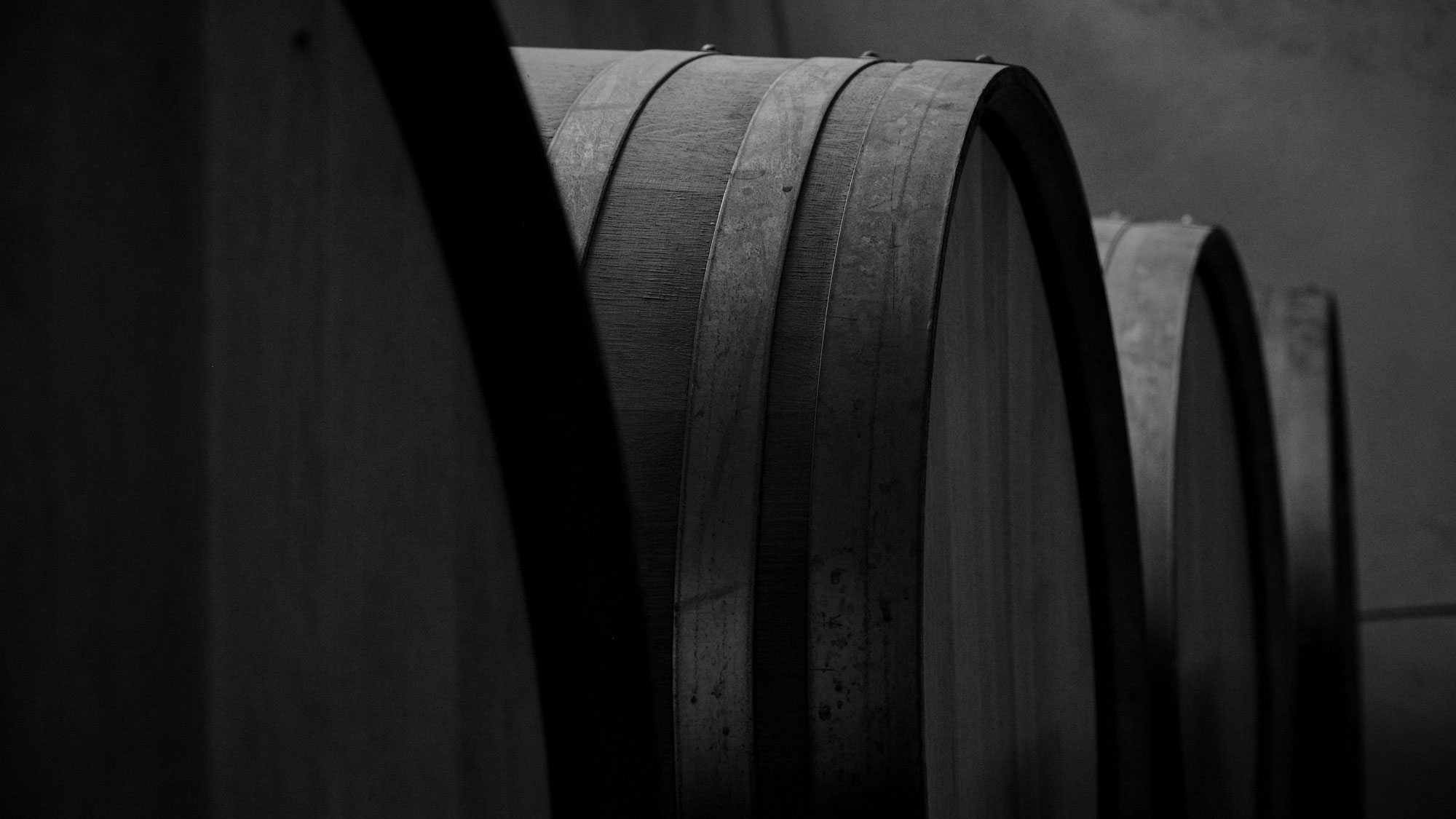 VInification | Vineyards | Greece